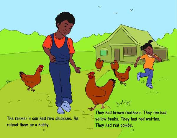 Kayla's First Chickens: Book One